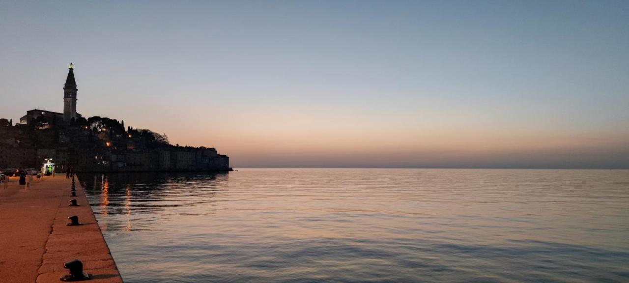 רוביני Davor Holiday Apartments מראה חיצוני תמונה
